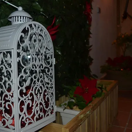 Il Cortiletto Di Piazza Verga Bed & Breakfast